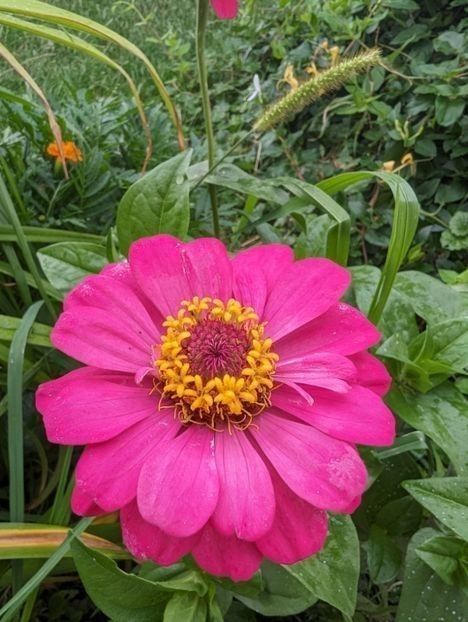  - ----------- My Universe My Planet My World My Place My Home My Space