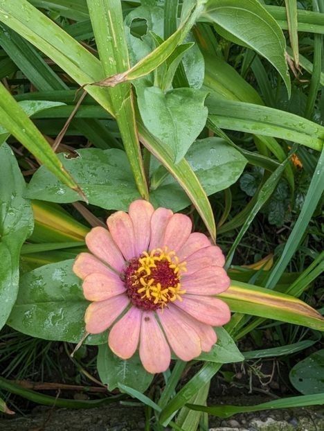  - ----------- My Universe My Planet My World My Place My Home My Space