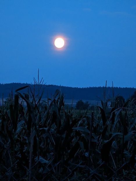  - ----------- My Universe My Planet My World My Place My Home My Space