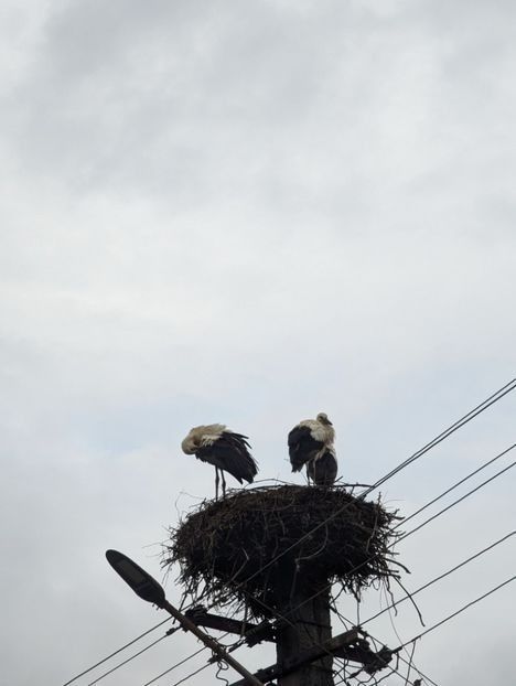  - ----------- My Universe My Planet My World My Place My Home My Space