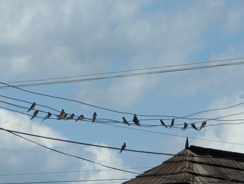  - ----------- My Universe My Planet My World My Place My Home My Space