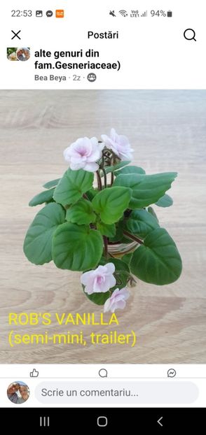 Rob's Vanilla Screenshot_20250717_225313_Facebook - Violete de colecție