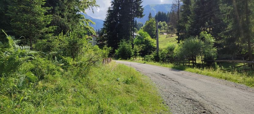 strada Fantana - Borsa iulie 2025