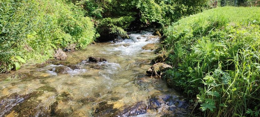 raul Vișeu - Borsa iulie 2025