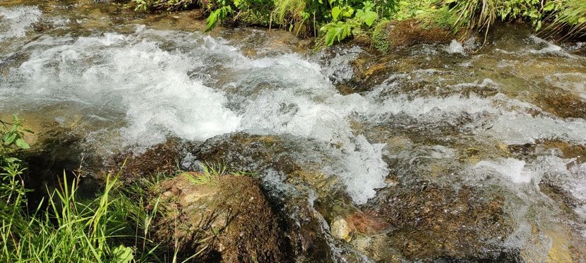 raul Vișeu - Borsa iulie 2025