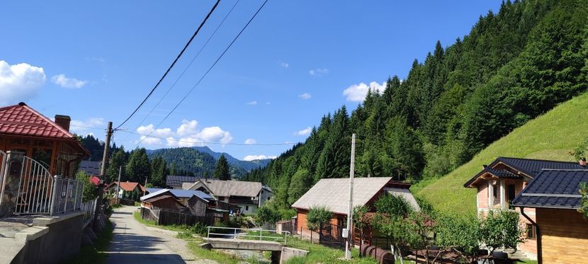 Baile Borsa - Borsa iulie 2025