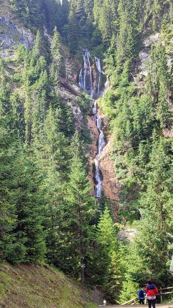 Cascada Cailor - Borsa iulie 2025