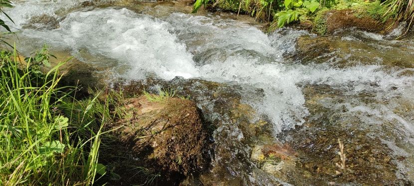 raul Vișeu - Borsa iulie 2025