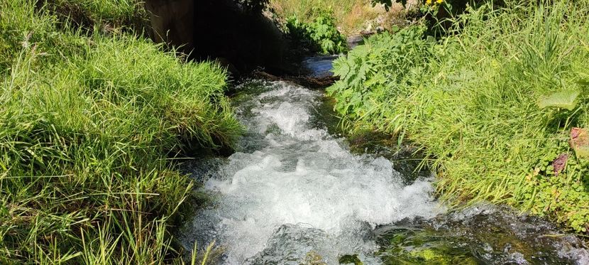 raul Vișeu - Borsa iulie 2025