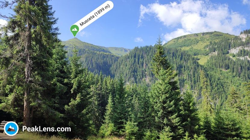 Munții Rodnei - Borsa iulie 2025