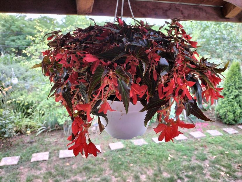 IMG20250717131834 - vara 2025