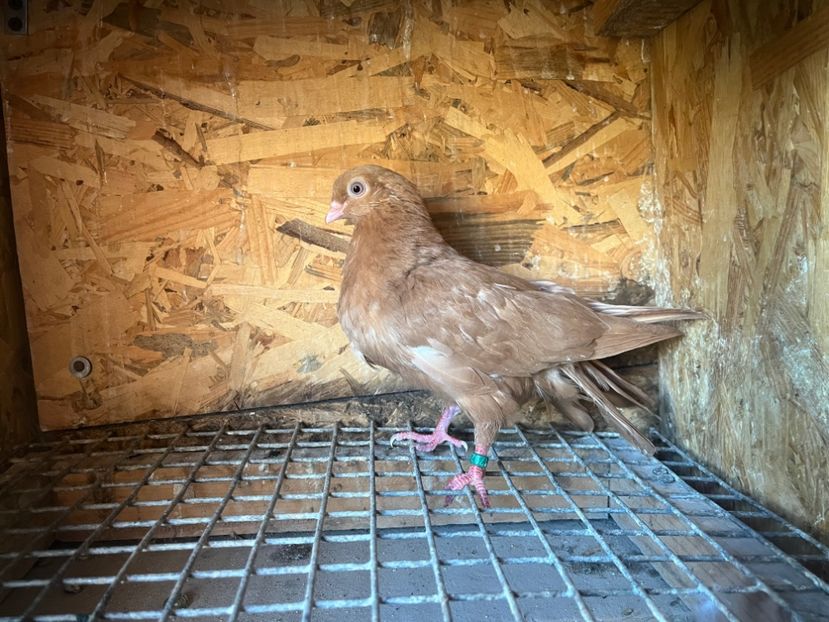 1792/25 - 8-lot zbor 2025