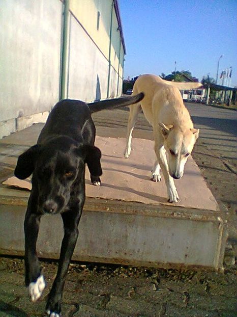 Fotogr.0074 - 2025 iulie