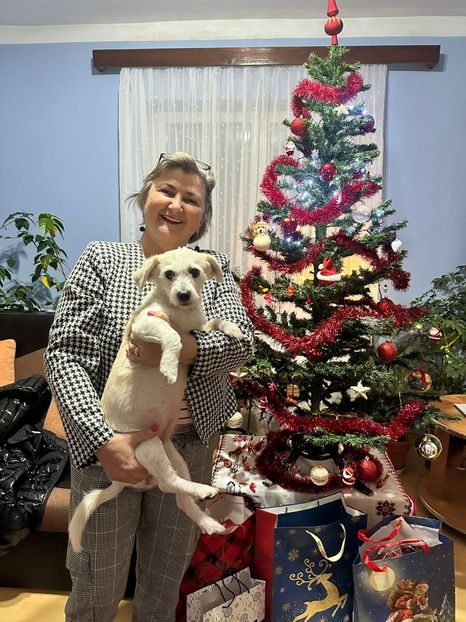 IMG-20231225-WA0015 - 2025 iulie