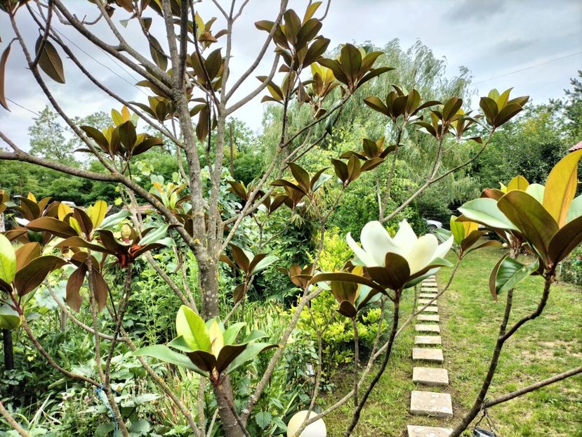 IMG20250729121950 - vara 2025