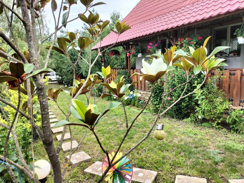 IMG20250729121944 - vara 2025