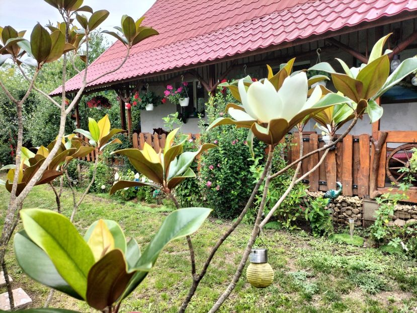 IMG20250729121933 - vara 2025