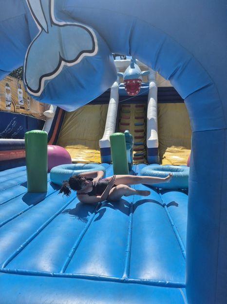 a1ff7343-61dd-408c-ae65-72cf4d8242ea - veronica vacanta