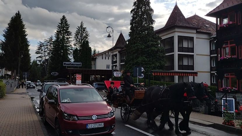 VID_20250718_190456641_exported_74269 - Sovata 2025