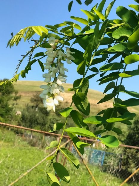 IMG20250805163355 - vara 2025