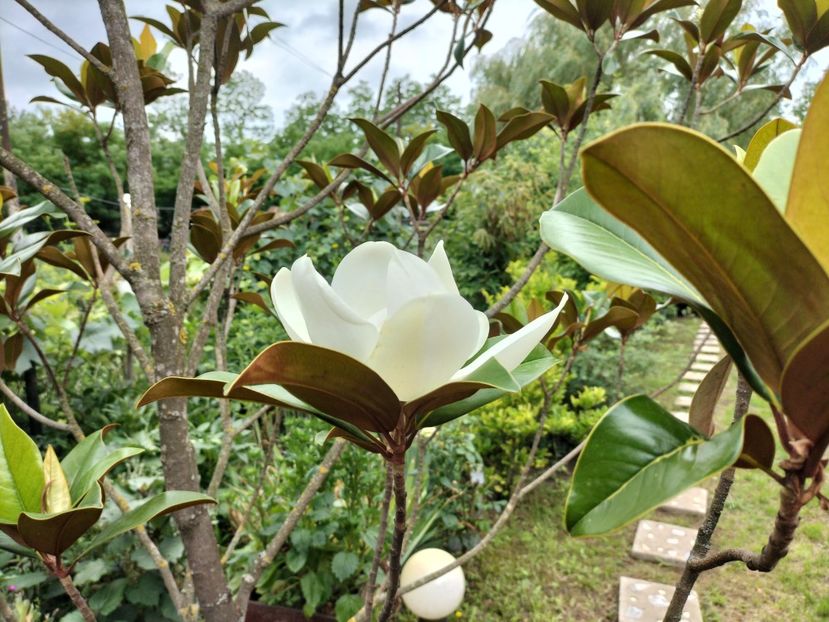 IMG20250729121834 - vara 2025