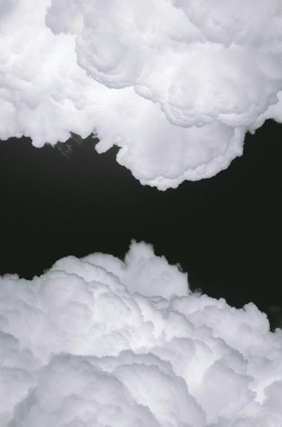  - ---------------- White and Black