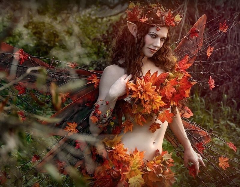  - ----------------- Autumn