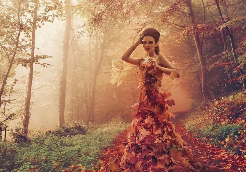  - ----------------- Autumn