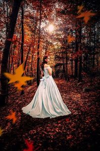  - ----------------- Autumn