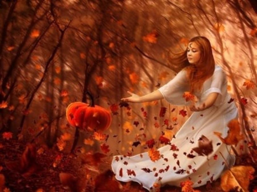  - ----------------- Autumn