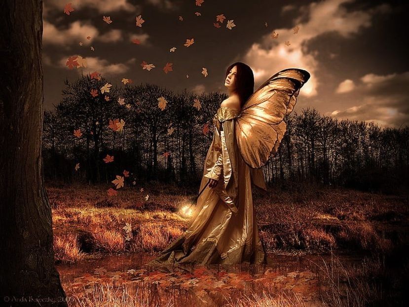 - ----------------- Autumn