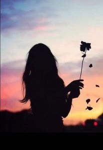  - -------------------- Shadow