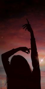  - -------------------- Shadow