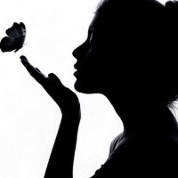  - -------------------- Shadow