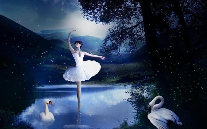  - ------------------ White Swan