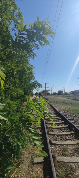 linie cf2 - zona garii si ozana