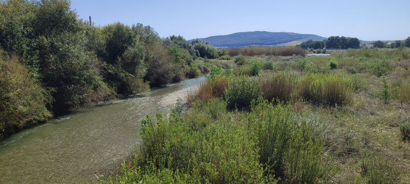 ozana11 - zona garii si ozana