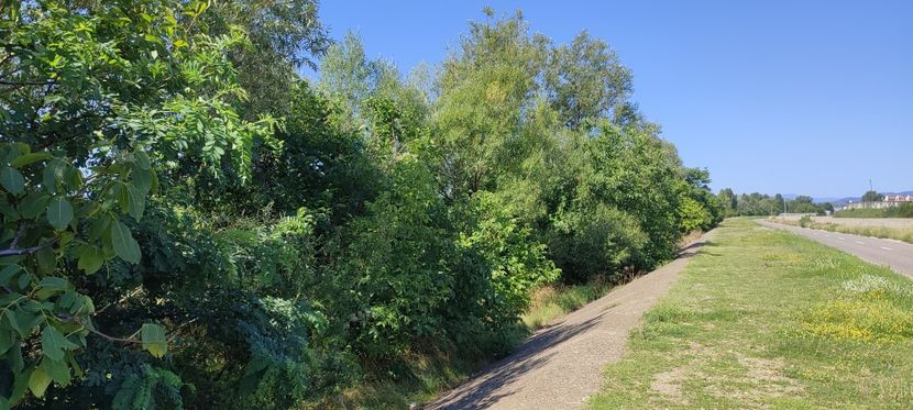 malul ozanei - zona garii si ozana