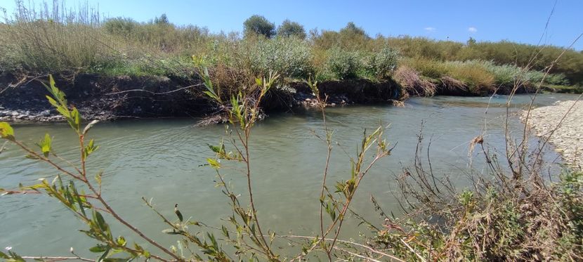 ozana 5 - zona garii si ozana