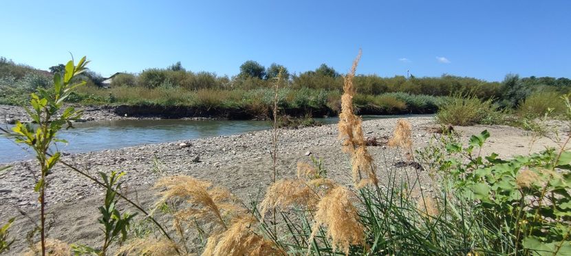 ozana 3 - zona garii si ozana