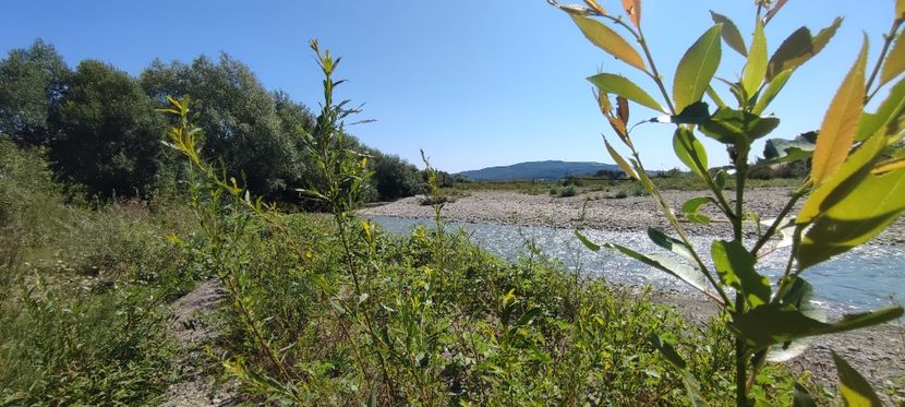 ozana 2 - zona garii si ozana