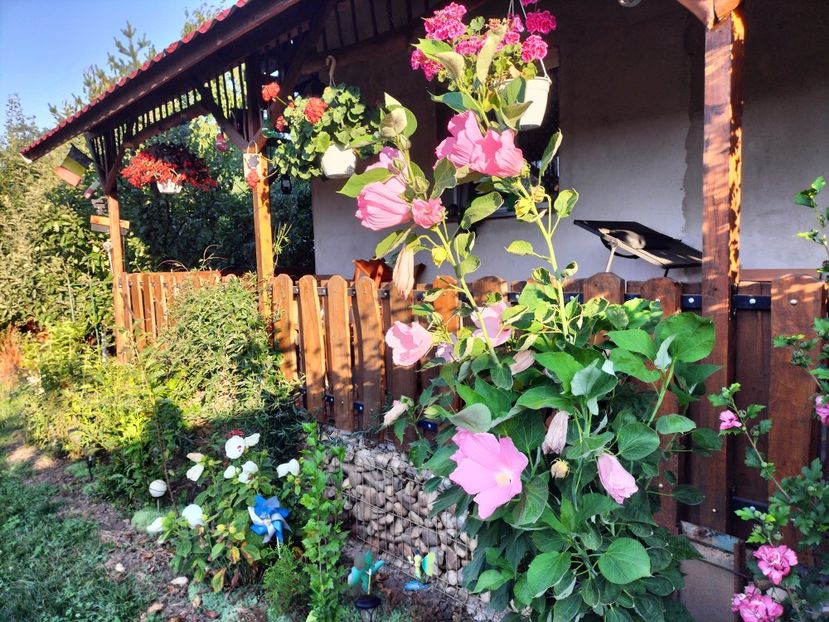 IMG20250811074833 - vara 2025