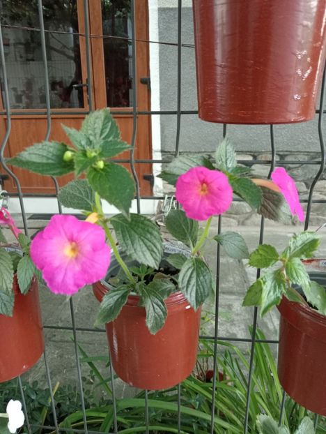  - BriDs Uta Meudtner