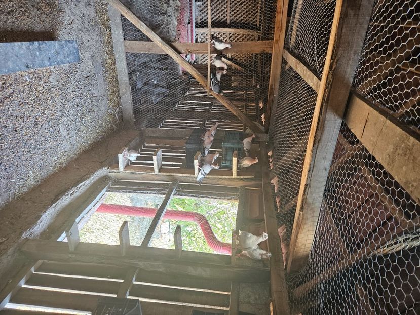  - 1986 Robert Cioaca