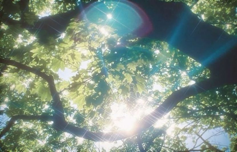  - The Life of a Showgirl