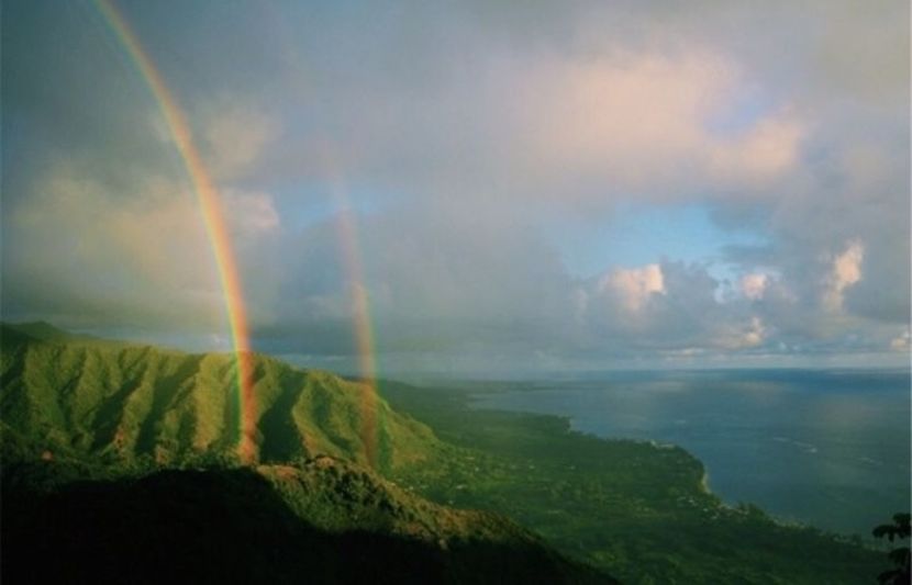  - The Life of a Showgirl