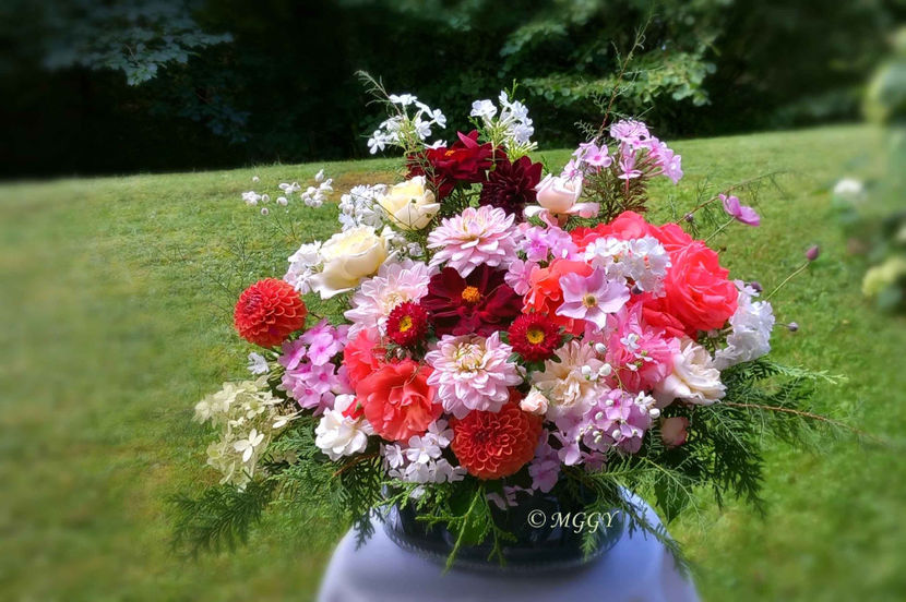 © - 01 - Floristica