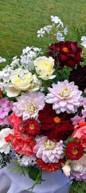 © - 01 - Floristica