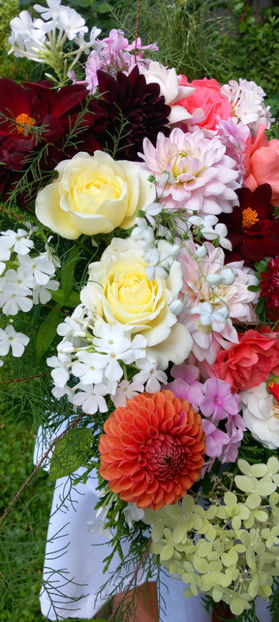 © - 01 - Floristica