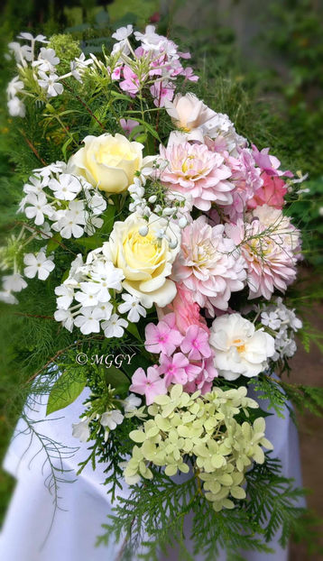 © - 01 - Floristica